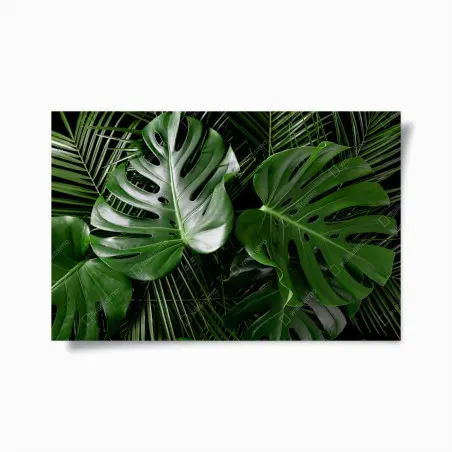 Poster composizione di foglie di monstera e palma • Wallissimo®