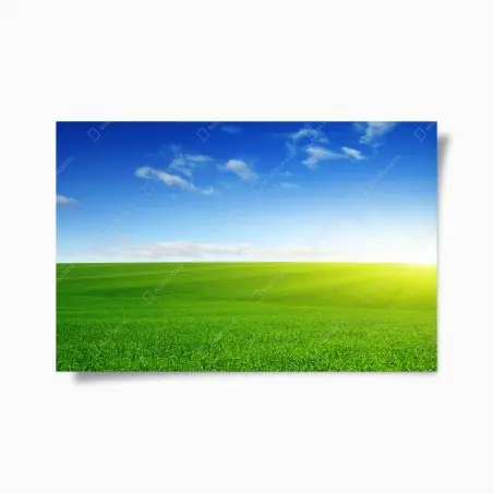 Poster prato verde all'orizzonte con cielo azzurro • Wallissimo®