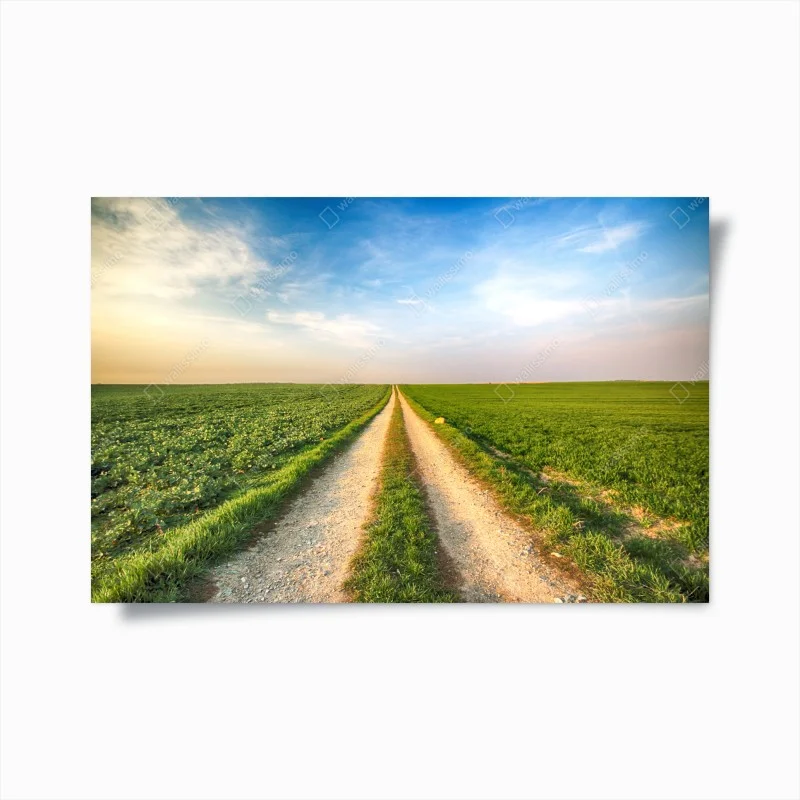 Poster strada verso l'orizzonte