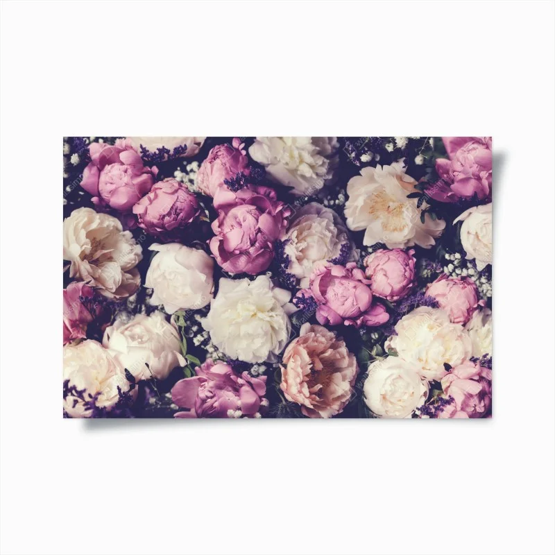 Poster composizione romantica di peonie rosa e crema