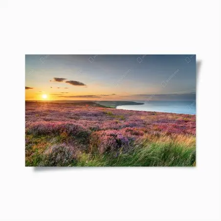 Poster tramonto sulla brughiera dei North York Moors sopra Ravenscar con vista su Robin Hood's Bay • Wallissimo®