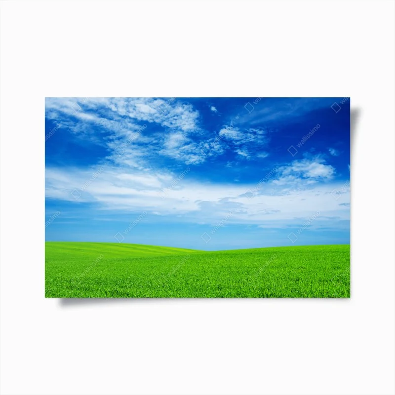 Poster prato verde sotto il cielo azzurro