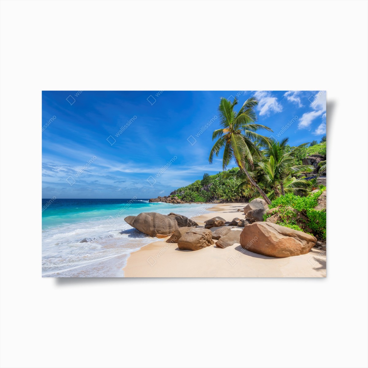 Poster oasi tropicale con palme e rocce sulla spiaggia • Wallissimo®