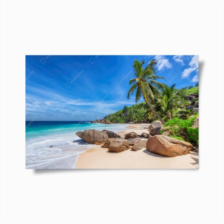 Poster oasi tropicale con palme e rocce sulla spiaggia • Wallissimo®
