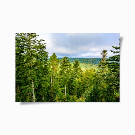 Poster panorama autunnale della Foresta Nera • Wallissimo®