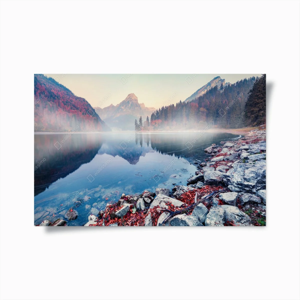 Poster alba nebbiosa sul lago Obersee • Wallissimo® Poster alba nebbiosa sul lago Obersee • Wallissimo®