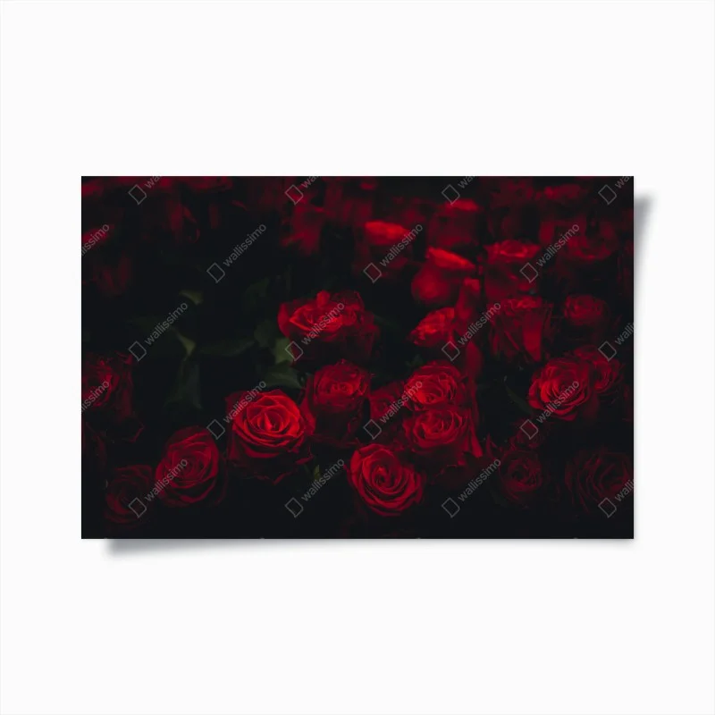 Poster composizione di rose rosse su sfondo scuro
