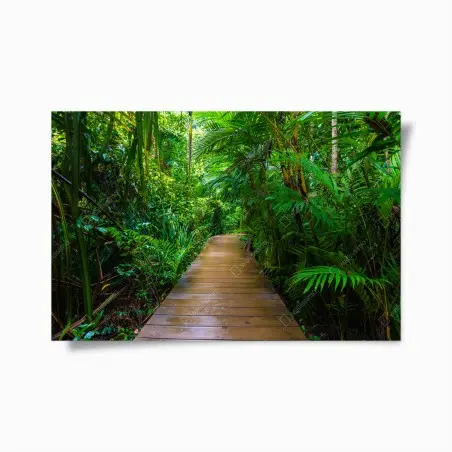 Poster sentiero di legno nella foresta di mangrovie • Wallissimo®