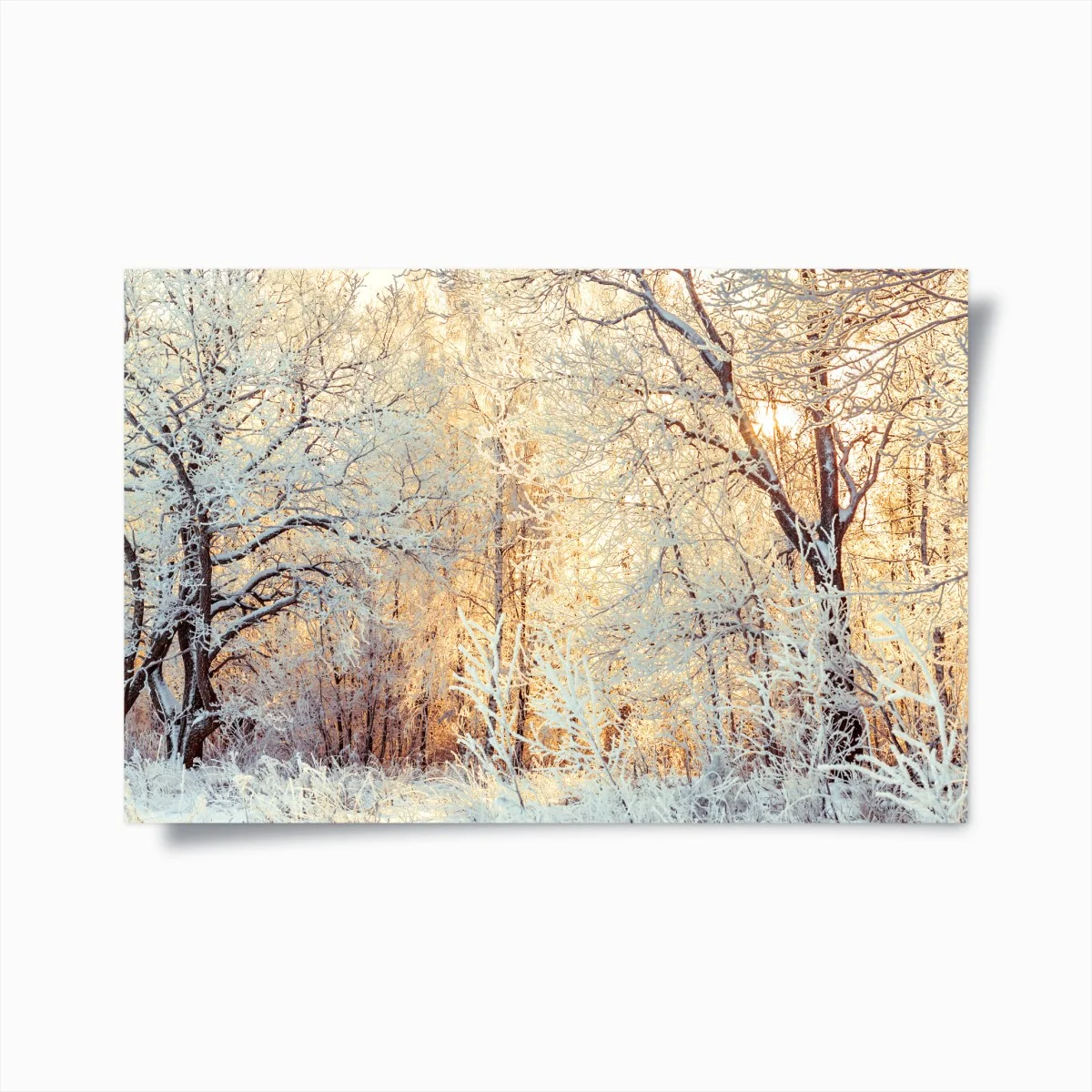 Poster incanto invernale al tramonto • Wallissimo® Poster incanto invernale al tramonto • Wallissimo®