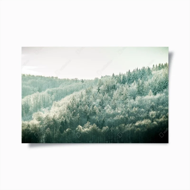 Poster silenzio luminoso della foresta innevata