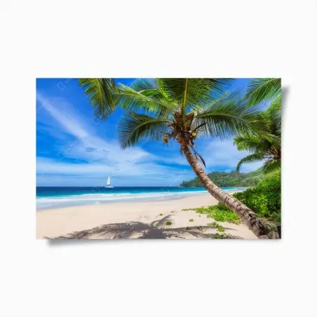 Poster spiaggia tropicale con palma inclinata e vela sull'orizzonte • Wallissimo®