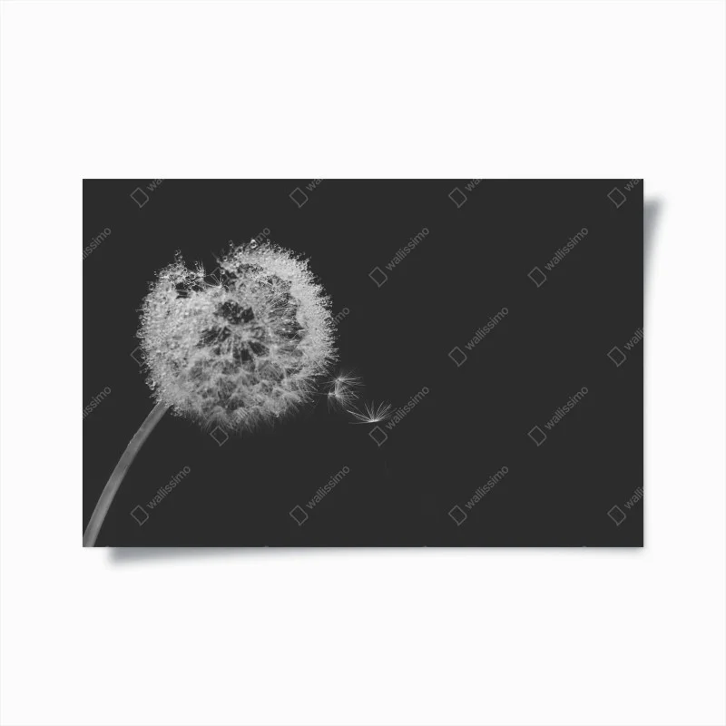 Poster soffione sospeso in bianco e nero