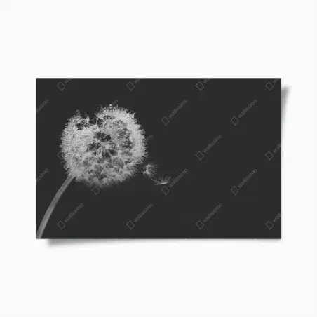 Poster soffione sospeso in bianco e nero • Wallissimo®