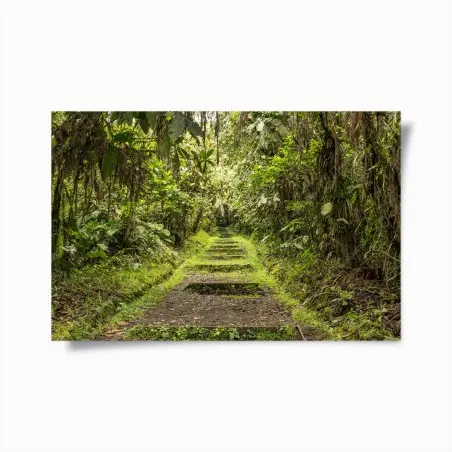 Poster sentiero nascosto nella foresta pluviale • Wallissimo®