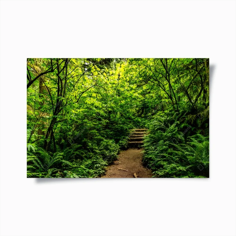 Poster sentiero nel bosco lussureggiante