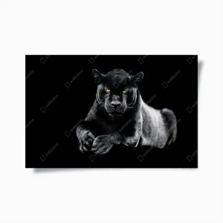 Poster sguardo maestoso della pantera nera • Wallissimo®