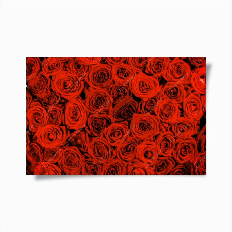 Poster sinfonia di rose rosse