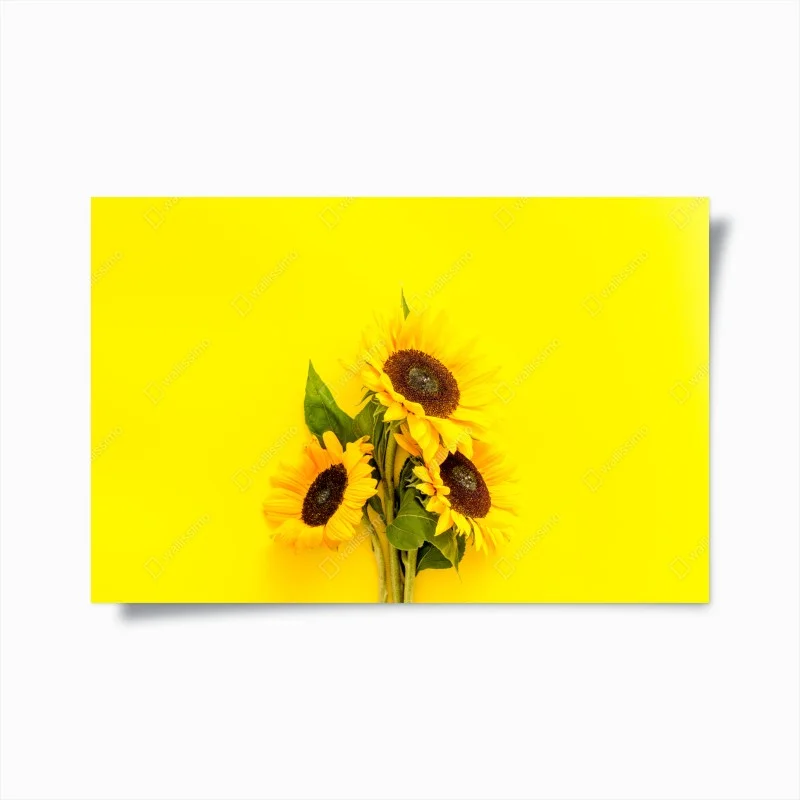Poster girasoli luminosi su sfondo giallo