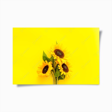 Poster girasoli luminosi su sfondo giallo • Wallissimo®