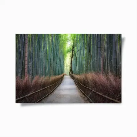 Poster viale nella foresta di bambù • Wallissimo®