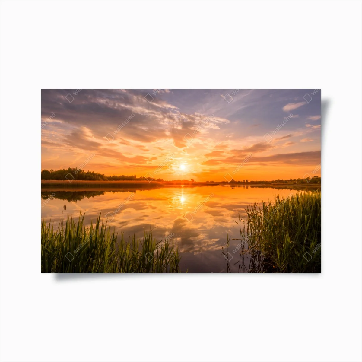 Poster tramonto dorato sul lago • Wallissimo® Poster tramonto dorato sul lago • Wallissimo®