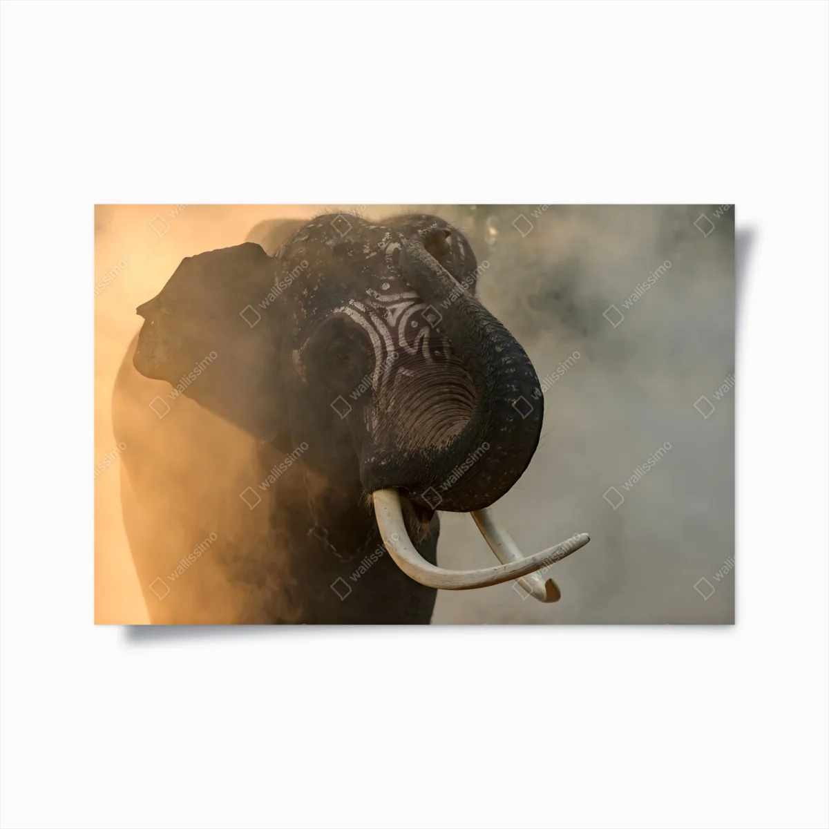 Poster ritratto maestoso dell'elefante Plai Arm da Surin, Thailandia • Wallissimo® Poster ritratto maestoso dell'elefante Plai Arm da Surin, Thailandia • Wallissimo®