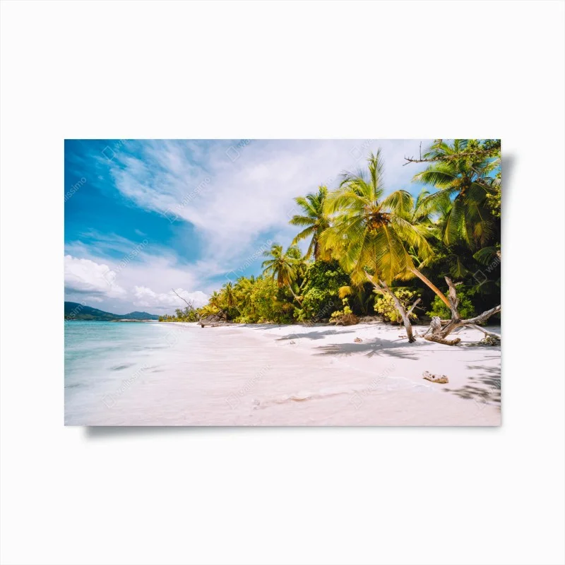 Poster spiaggia tropicale con palme e sabbia bianca