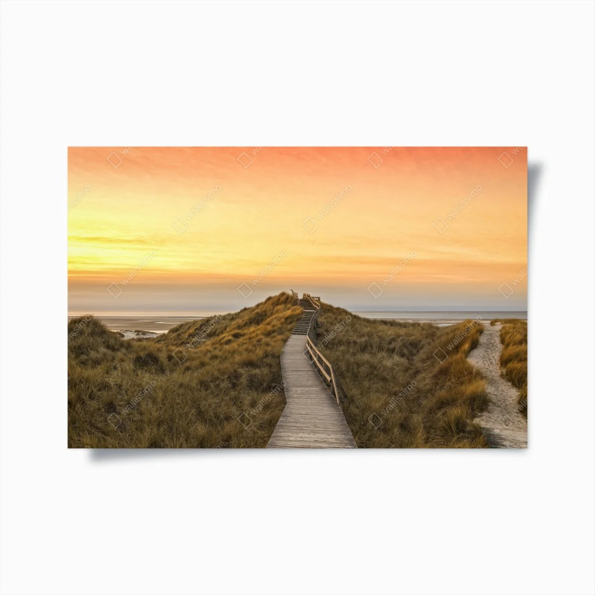 Poster passerella tra le dune di Norddorf al tramonto • Wallissimo® Poster passerella tra le dune di Norddorf al tramonto • Wallissimo®