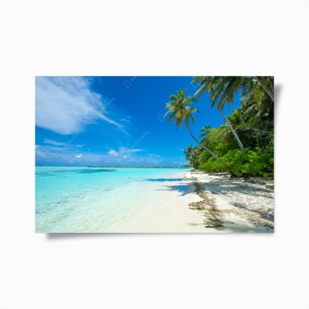 Poster paradiso tropicale alle Maldive • Wallissimo®