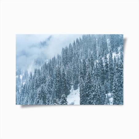 Poster foresta di abeti sotto la neve • Wallissimo®