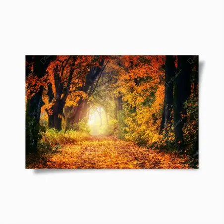 Poster incantevole sentiero d'autunno • Wallissimo®