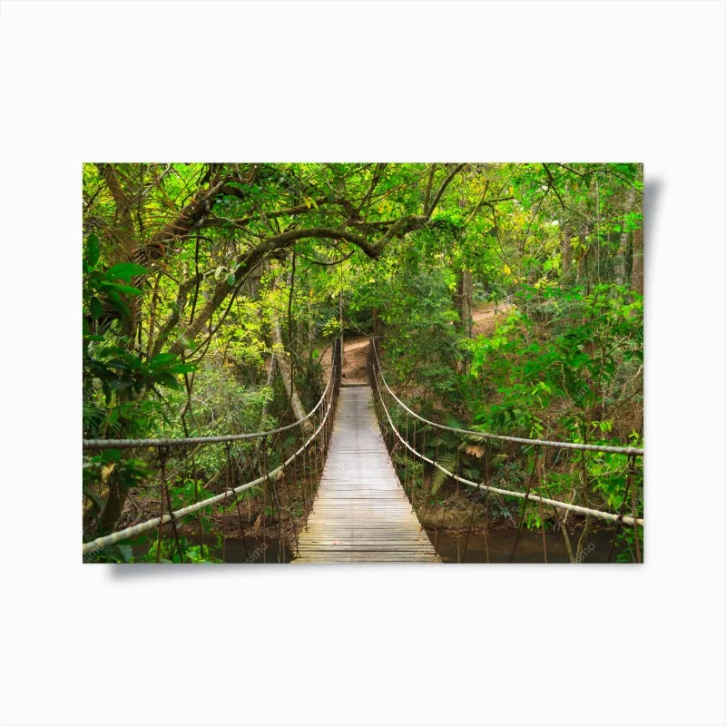 Poster ponte sospeso nella foresta lussureggiante