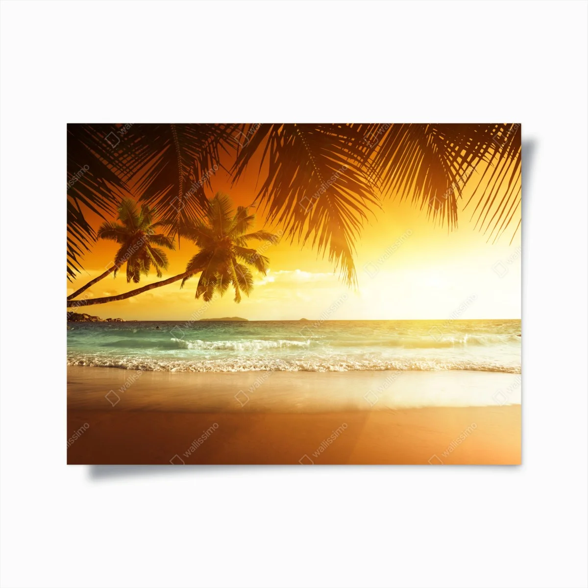 Poster tramonto sui Caraibi con palme • Wallissimo® Poster tramonto sui Caraibi con palme • Wallissimo®