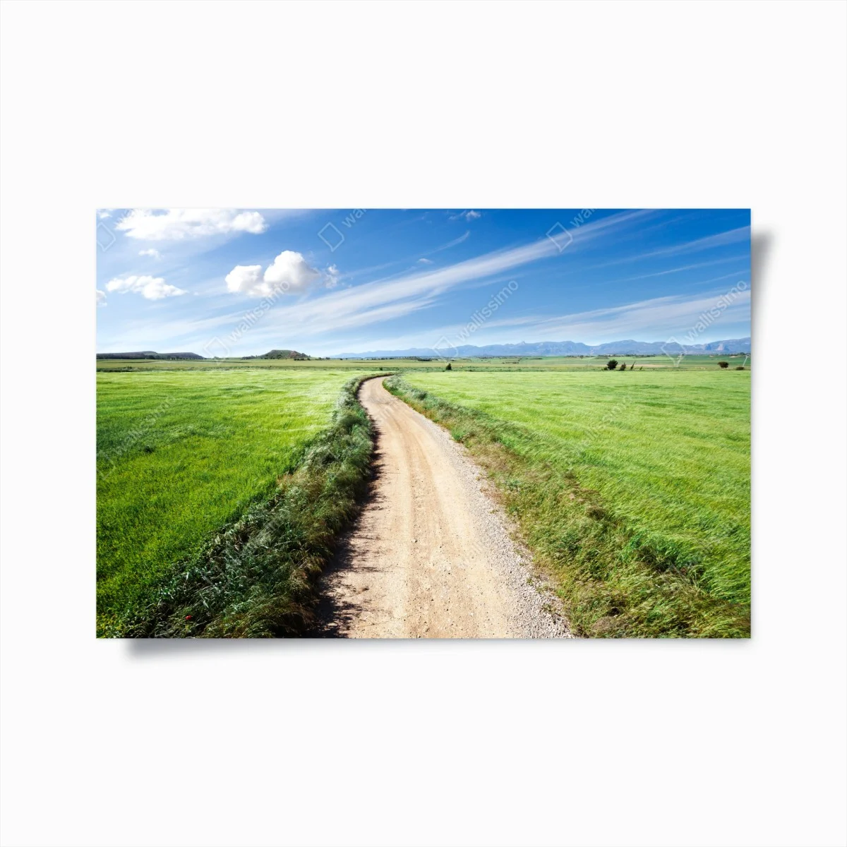 Poster sentiero tra i campi verdi • Wallissimo® Poster sentiero tra i campi verdi • Wallissimo®