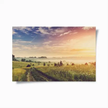Poster mattina nebbiosa nella campagna dorata • Wallissimo®