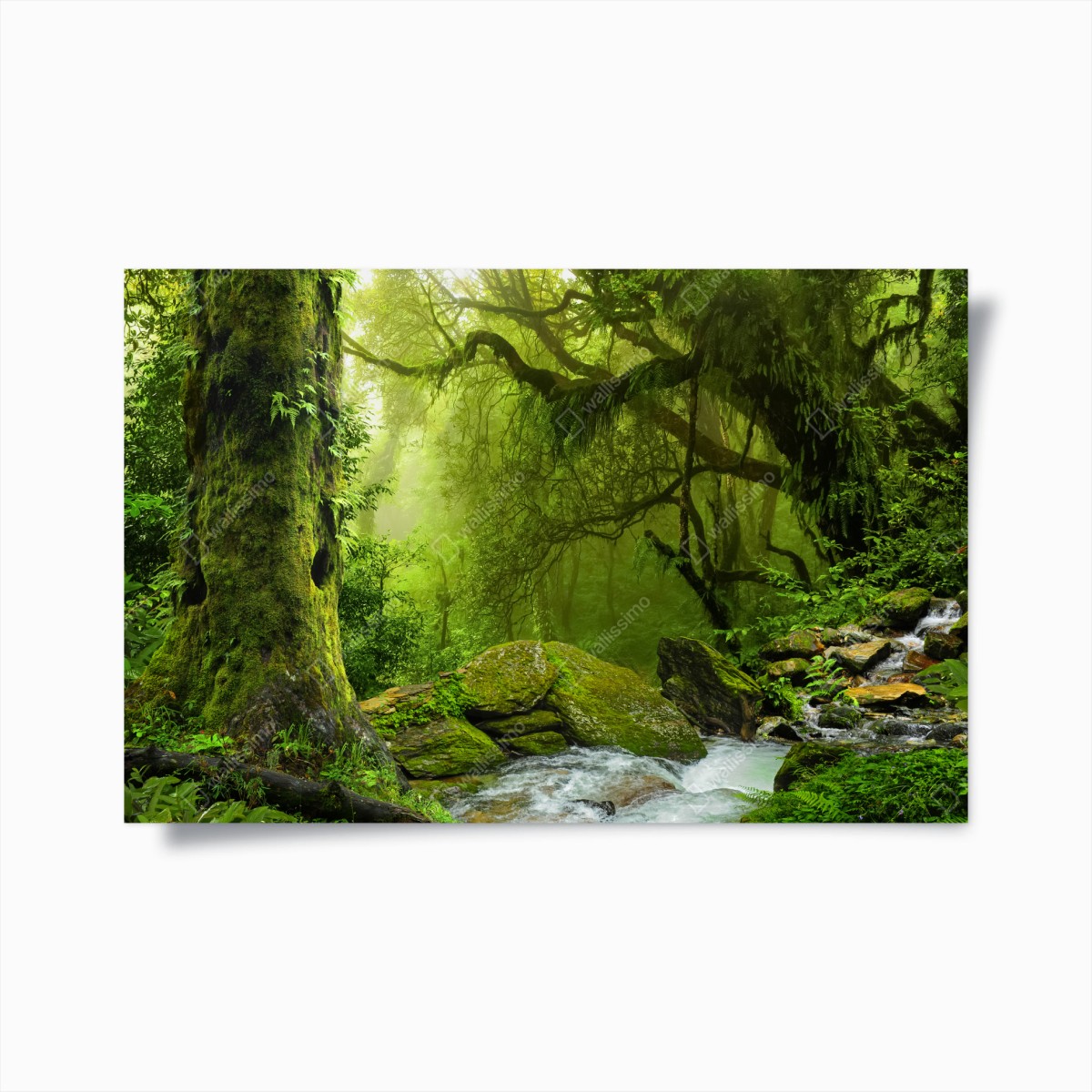 Poster foresta incantata verdeggiante • Wallissimo®