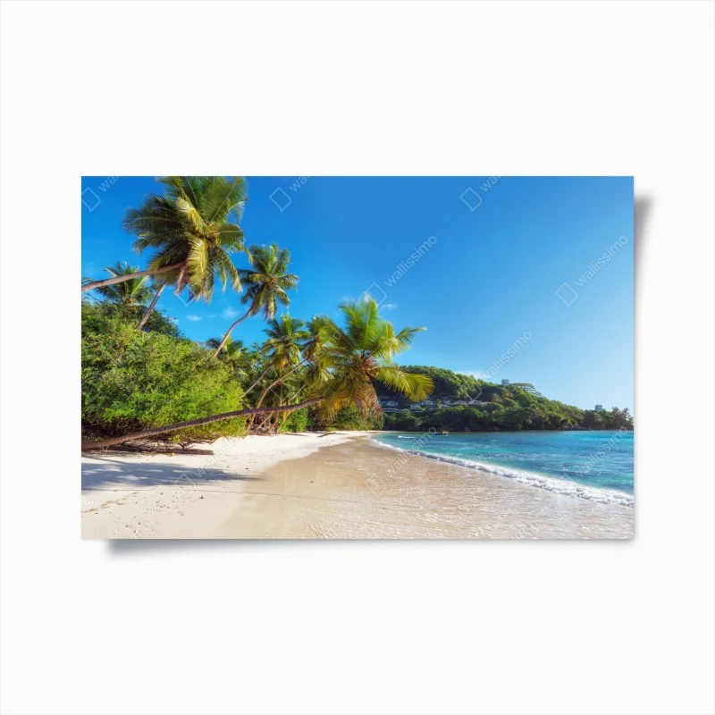 Poster spiaggia tropicale con palme e acque turchesi