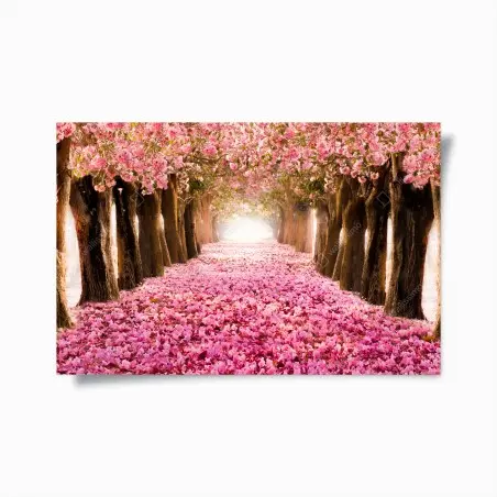 Poster viale incantato di fiori di ciliegio • Wallissimo®