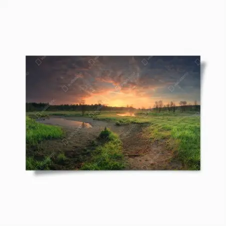 Poster tramonto dorato sulla palude • Wallissimo®