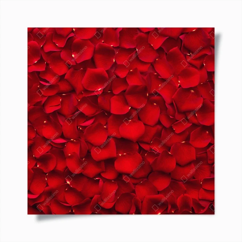 Poster mosaico di petali di rosa rossa