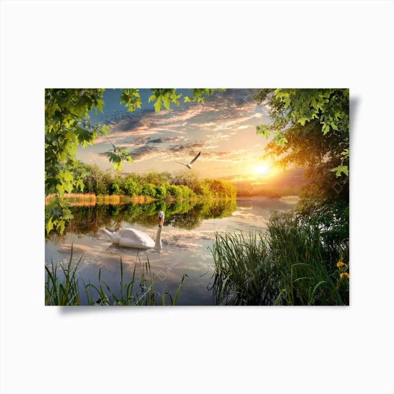 Poster tramonto sul lago con cigno e riflessi