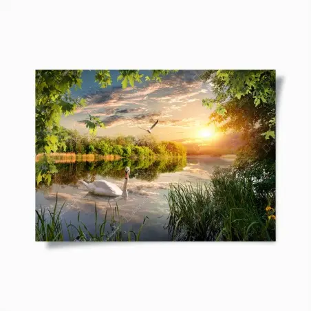 Poster tramonto sul lago con cigno e riflessi • Wallissimo®