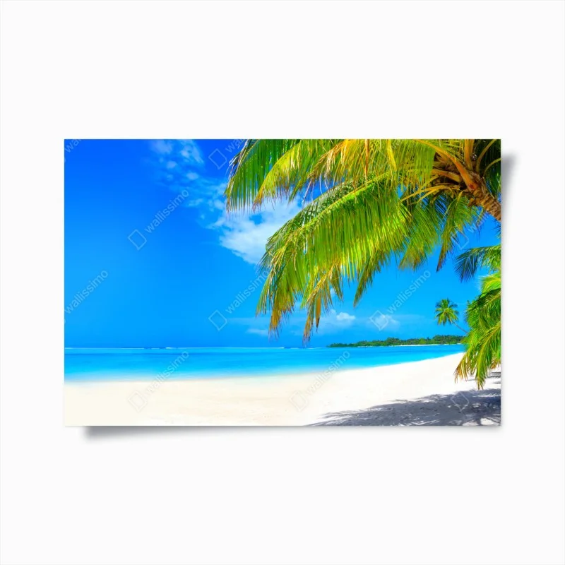 Poster paradiso tropicale con palme e sabbia bianca