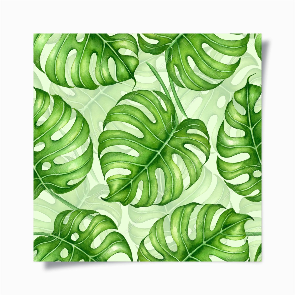 Poster motivo botanico di foglie di monstera in acquerello • Wallissimo®