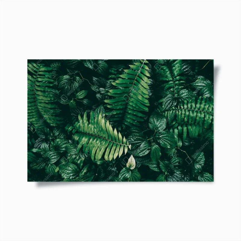 Poster giungla verticale: fogliame tropicale in verde scuro