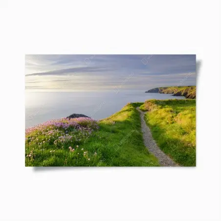 Poster sentiero al tramonto a Ceibwr Bay • Wallissimo®