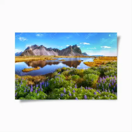Poster paesaggio di lupini a Vestrahorn, Islanda • Wallissimo®