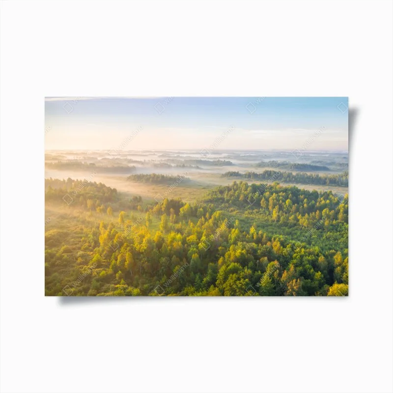 Poster nebbiosa mattina alla torbiera di Zvanets, Bielorussia