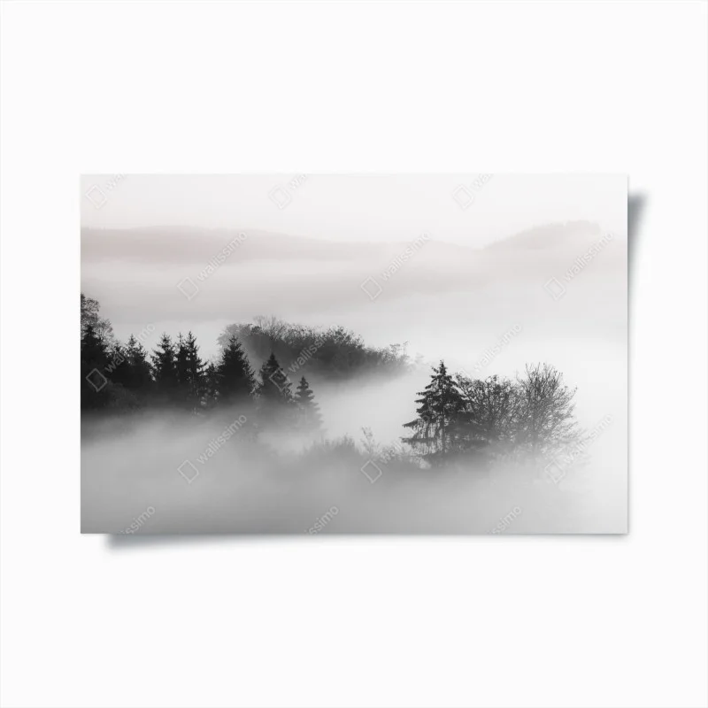 Poster foresta nella nebbia al mattino