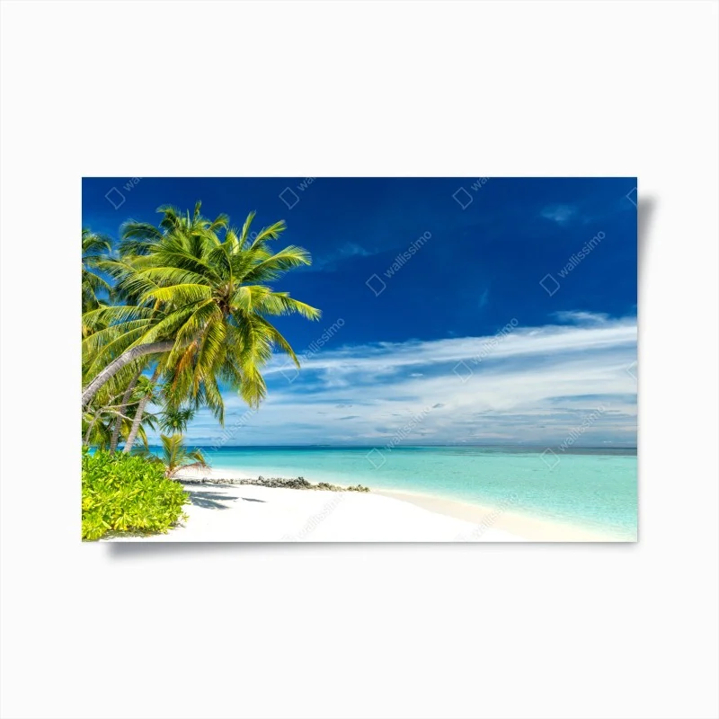 Poster oasi tropicale di palme e mare turchese